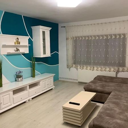 Apartament 3 Camere Spatios Timisoara Esterno foto