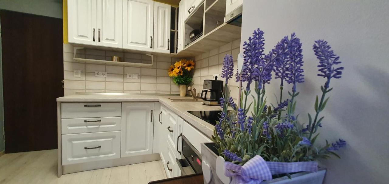 Apartament 3 Camere Spatios Timisoara Esterno foto